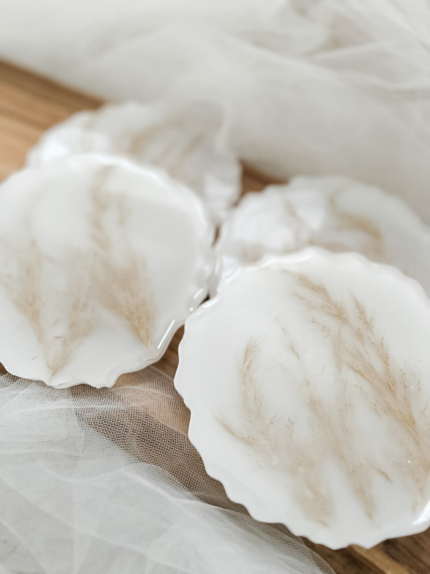 Pampas Grass Coaster Set