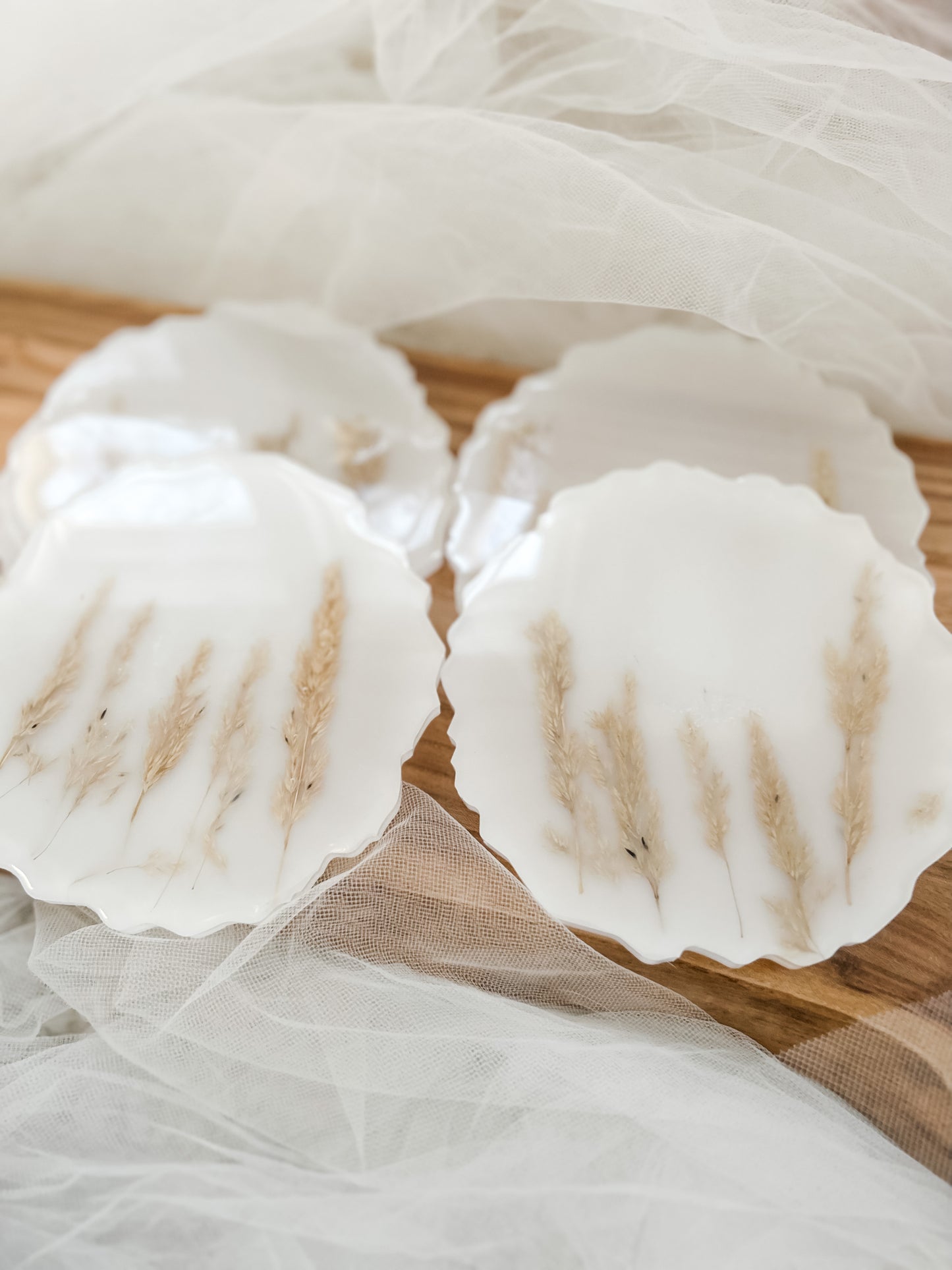 Pampas Grass Coaster Set