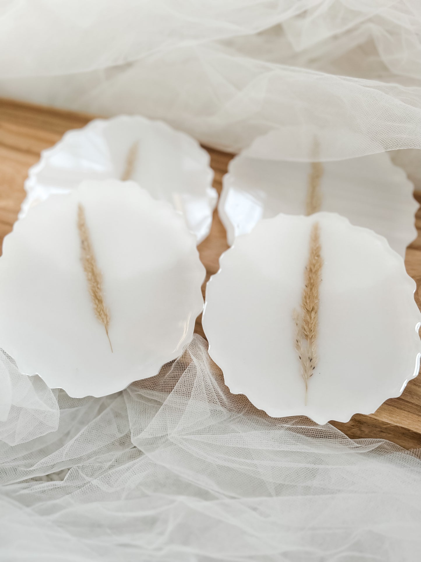 Pampas Grass Coaster Set