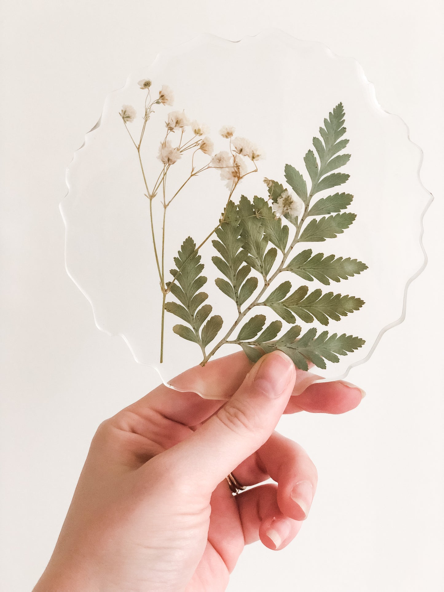 Simple Nature Coaster Set