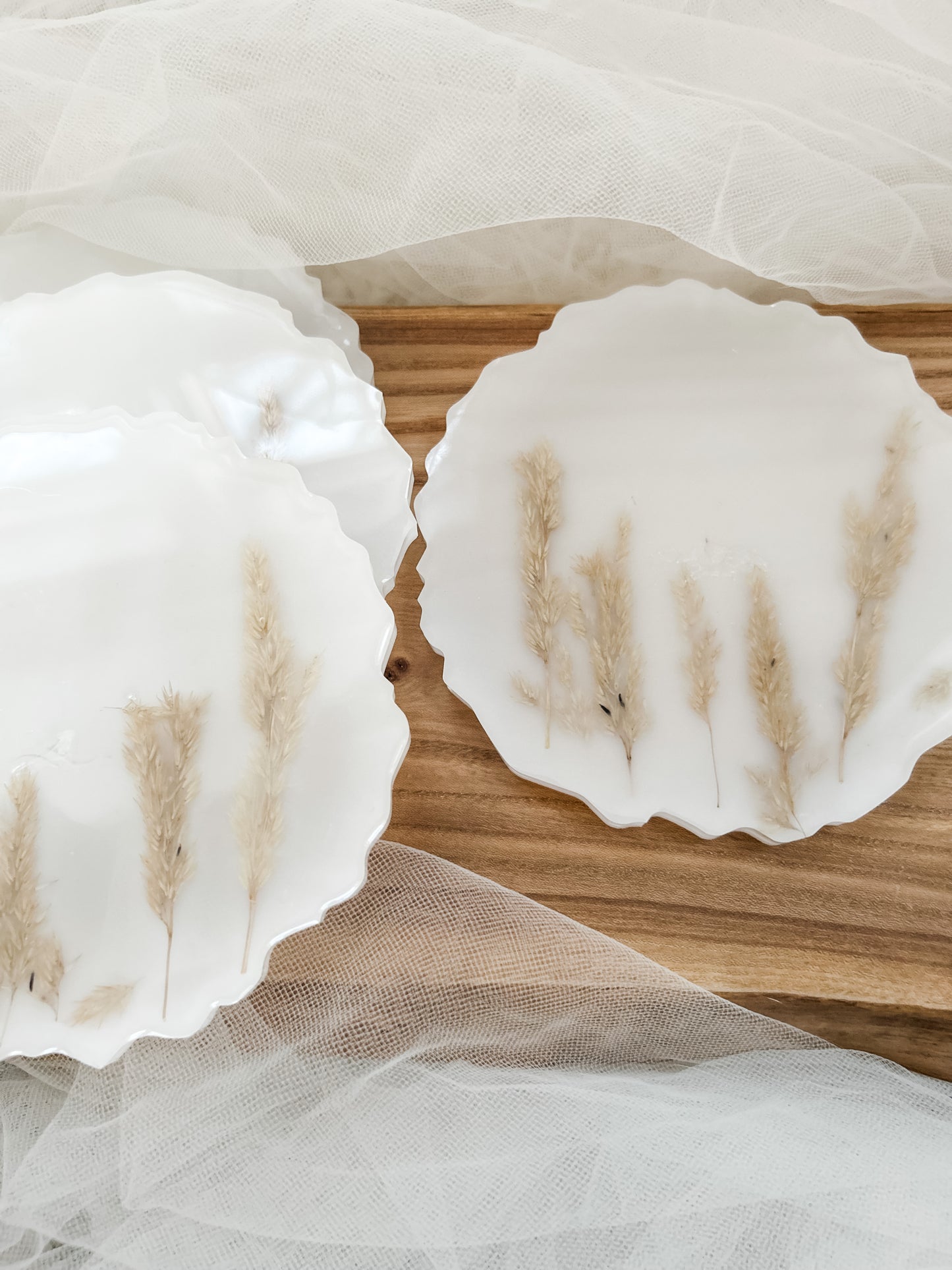 Pampas Grass Coaster Set