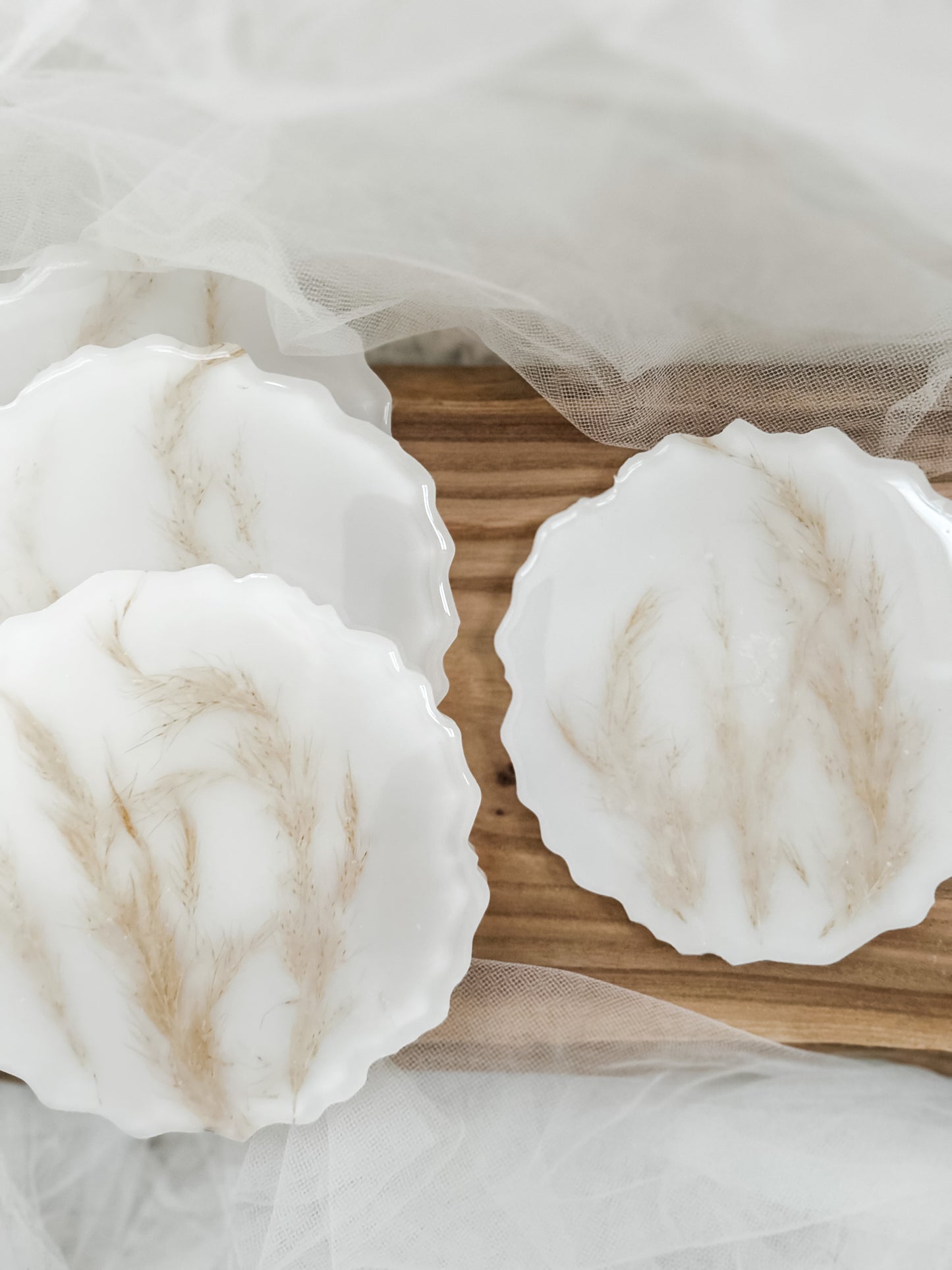 Pampas Grass Coaster Set