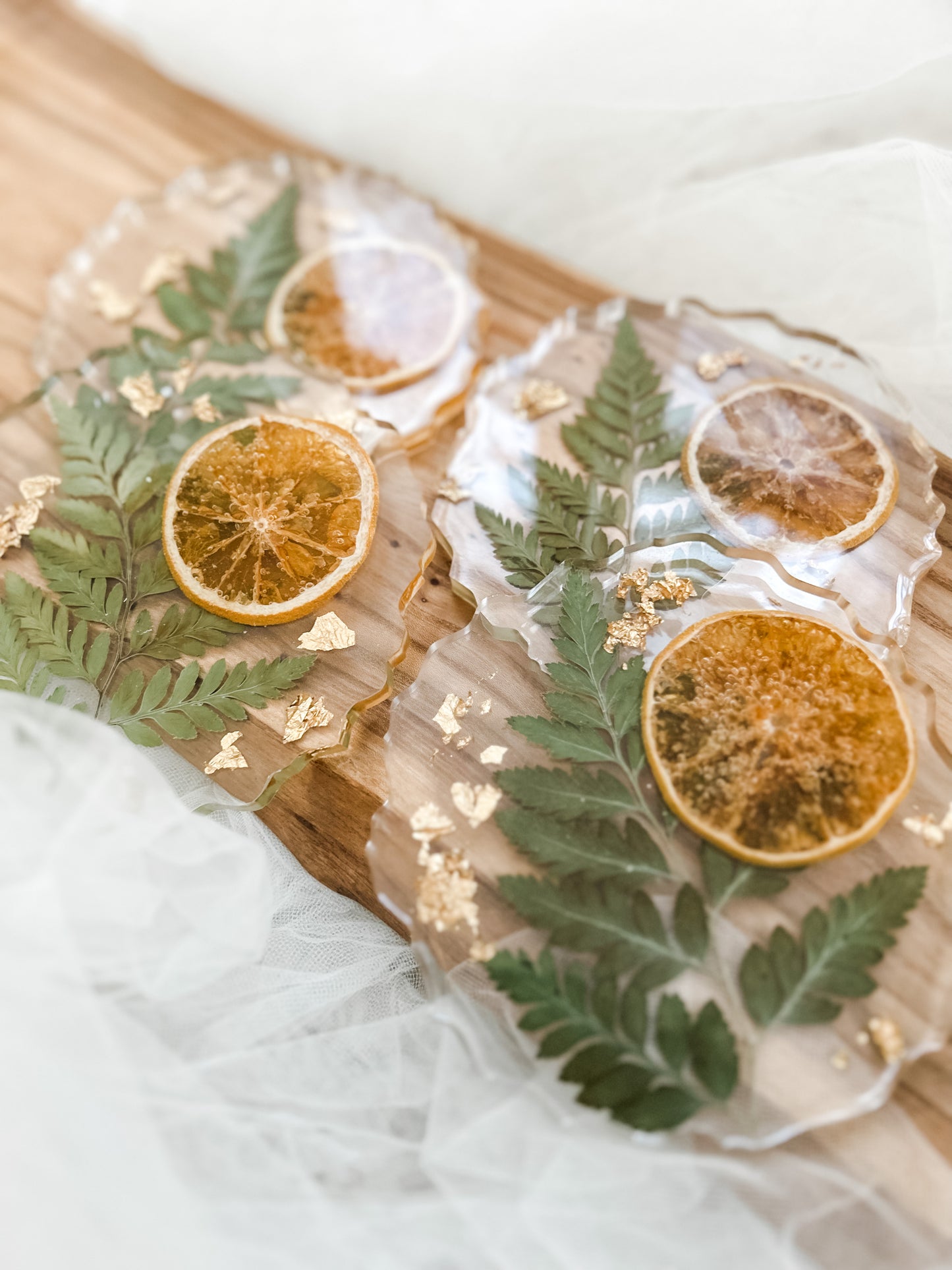 Orange & Fern Coaster Set