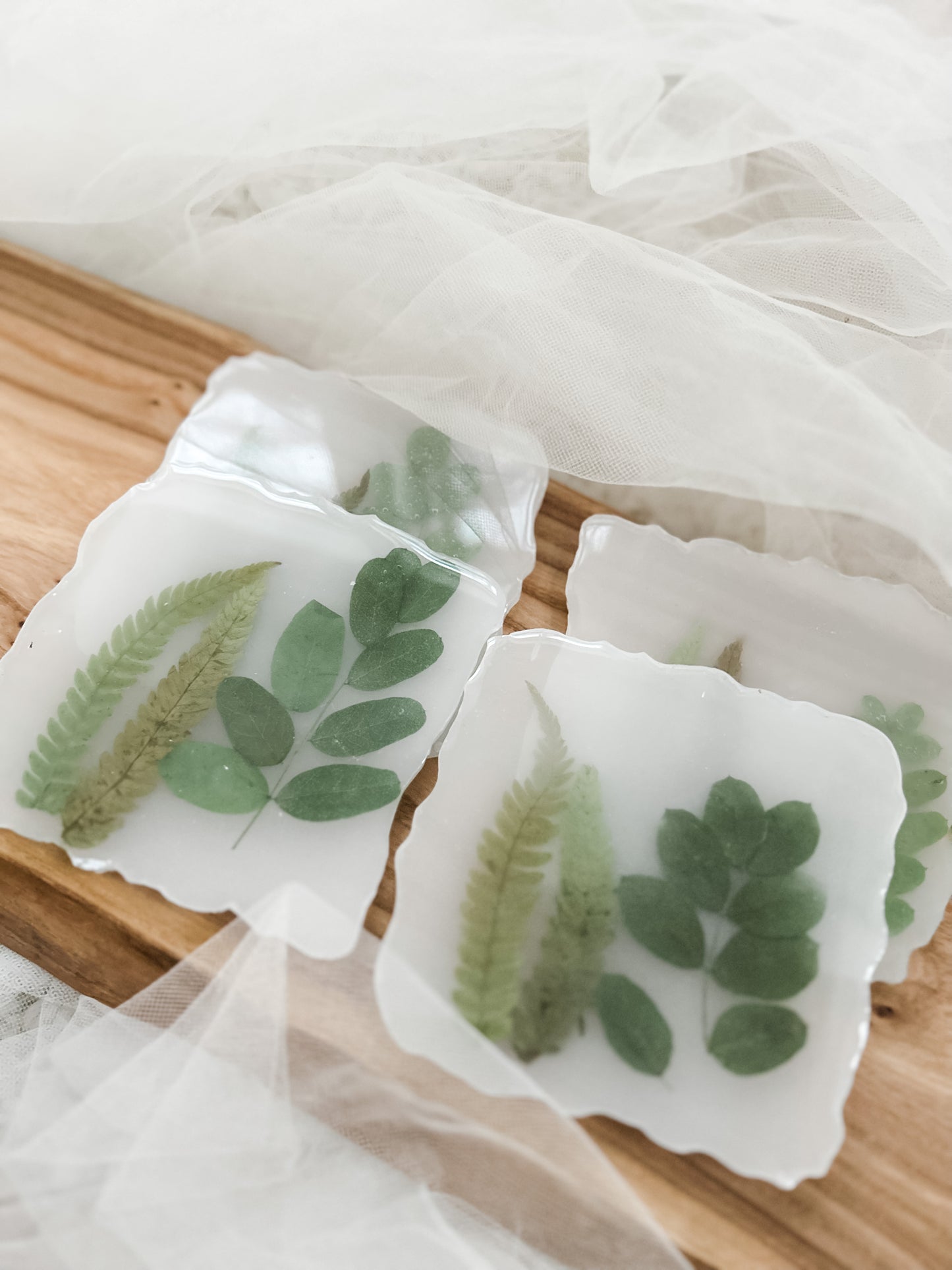 Greenery Coaster Set