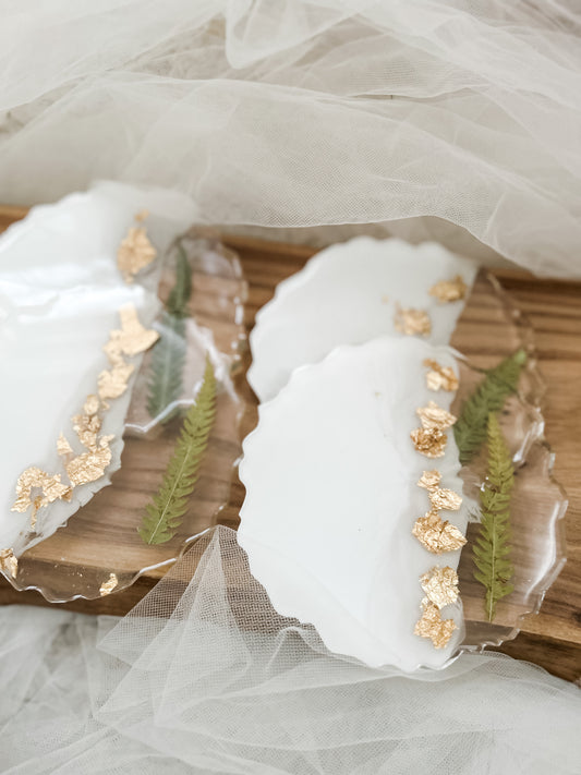 Fern Coaster Set